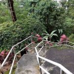 Bukit Badak