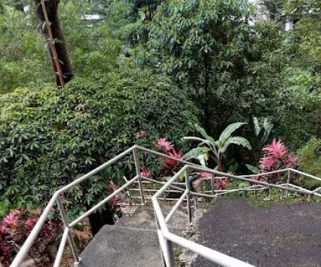 Bukit Badak