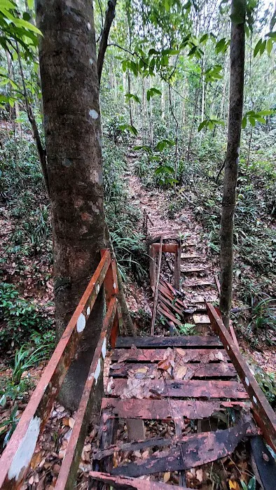 Bukit Badak Picture 7