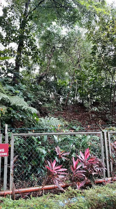 Bukit Badak Picture 6