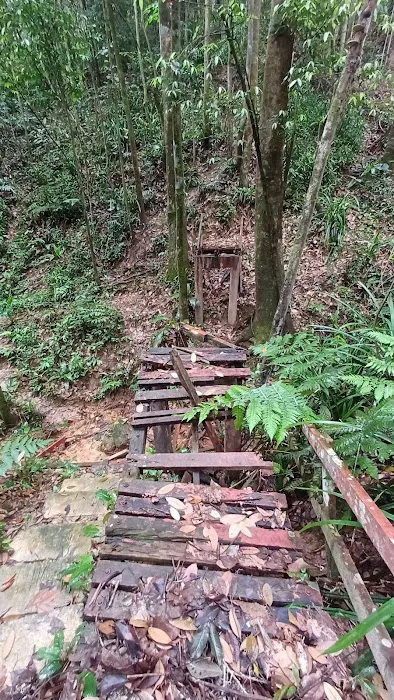 Bukit Badak Picture 9