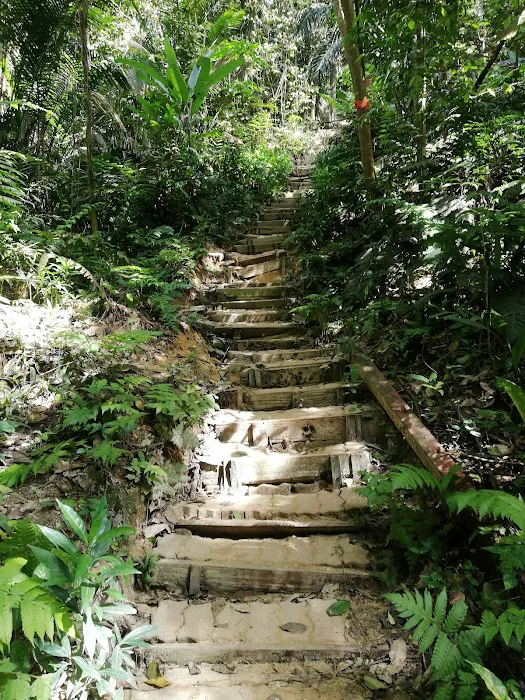 Bukit Gasing Via Hillpark Trailhead Picture 2
