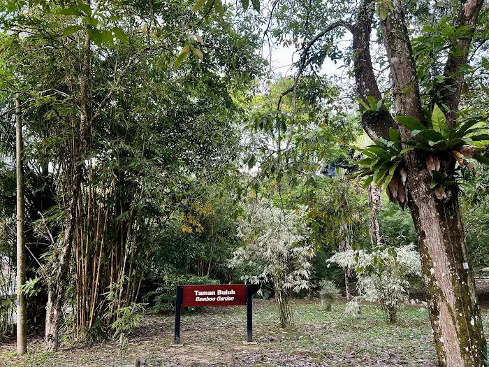 Bamboo Garden Picture 6