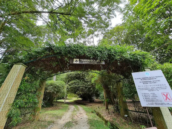 Bamboo Garden Picture 7