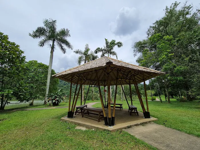 Bamboo Garden Picture 5