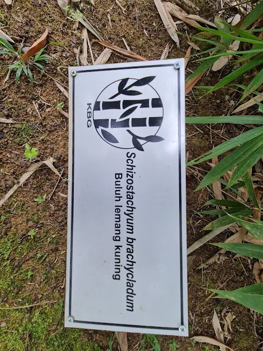 Bamboo Garden Picture 1