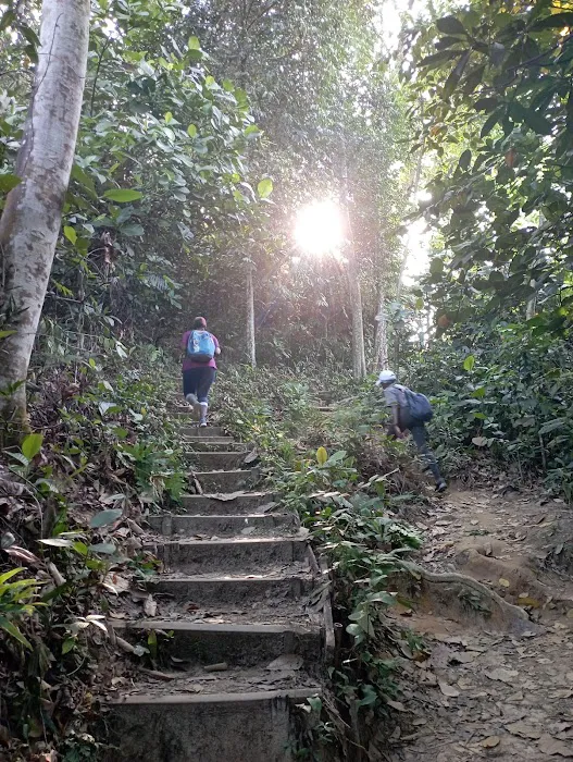 Bukit Gasing Trail Entrance Picture 6