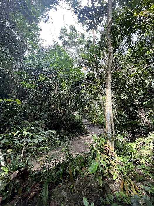 Bukit Gasing Trail Entrance Picture 9