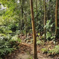rendezvous point bukit Gasing ico