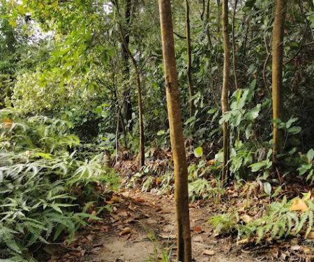 rendezvous point bukit Gasing
