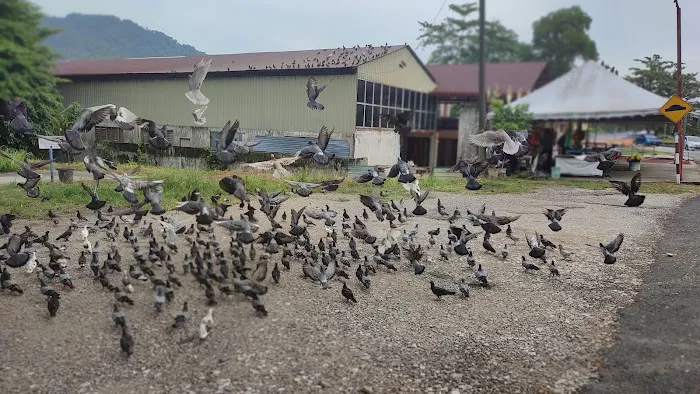 0 km Tg Malim Picture 1