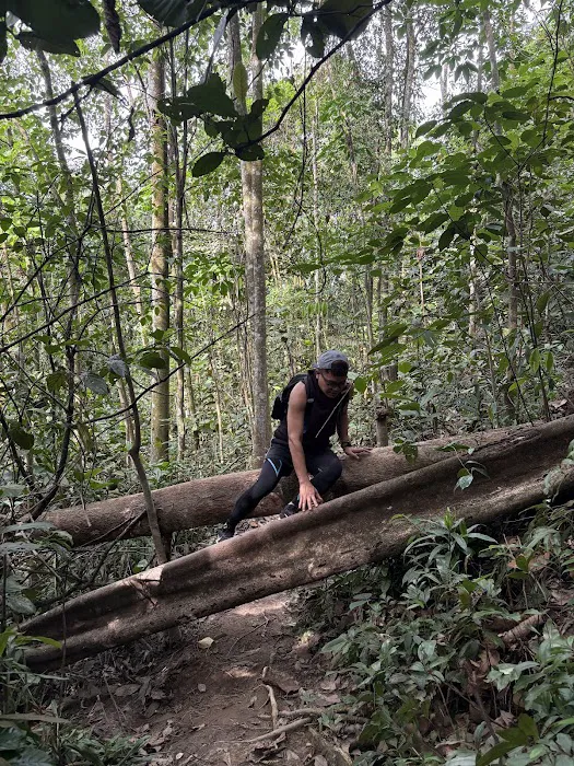 Hiking Trailhead No.3 via Taman Rimba Bukit Kerinchi Picture 1