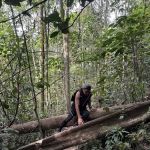 Hiking Trailhead No.3 via Taman Rimba Bukit Kerinchi