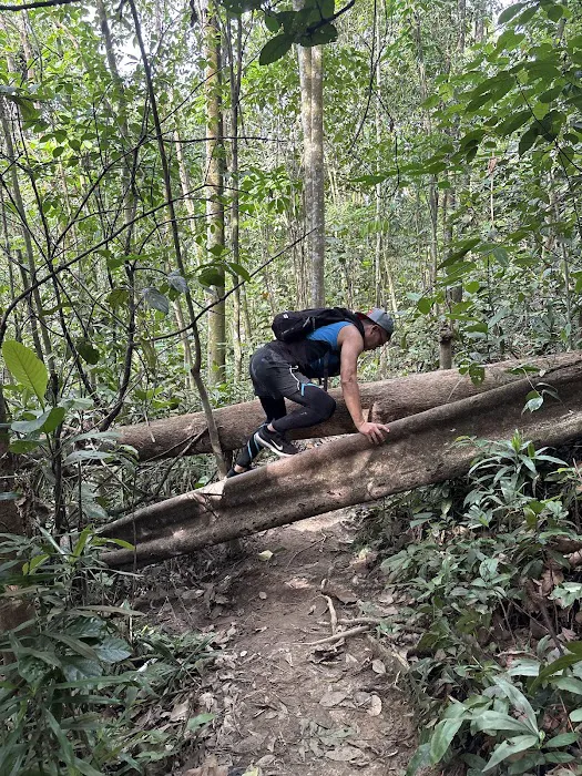 Hiking Trailhead No.3 via Taman Rimba Bukit Kerinchi Picture 2