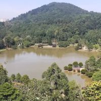 Gymnosperms Garden ico