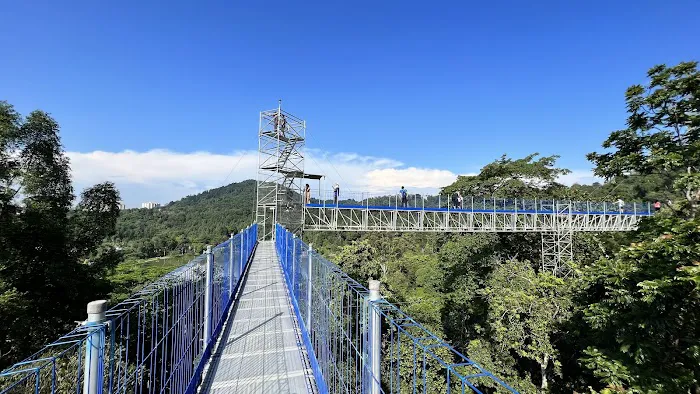 Forest Skywalk Kepong Picture 2