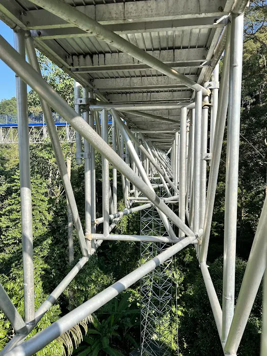 Forest Skywalk Kepong Picture 10