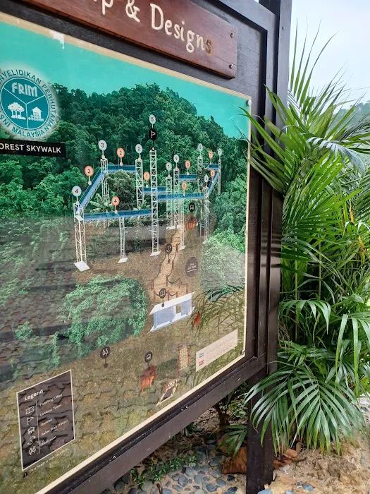 Forest Skywalk Kepong Picture 7