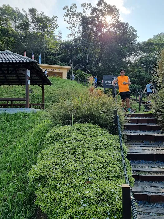 Forest Skywalk Kepong Picture 9