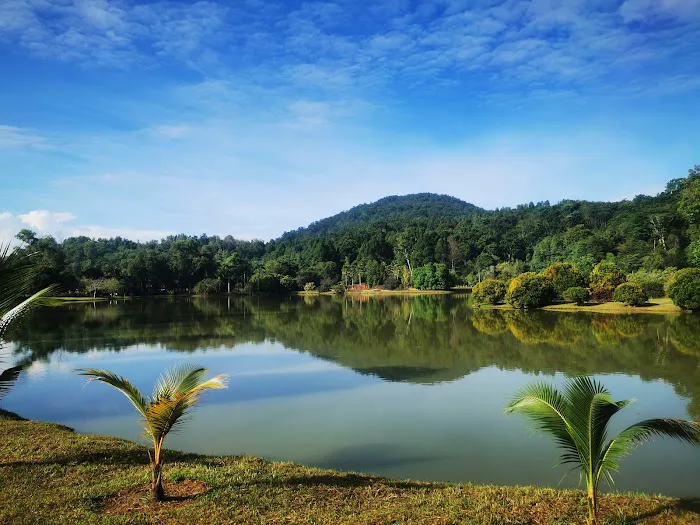 Forest Skywalk Kepong Picture 6
