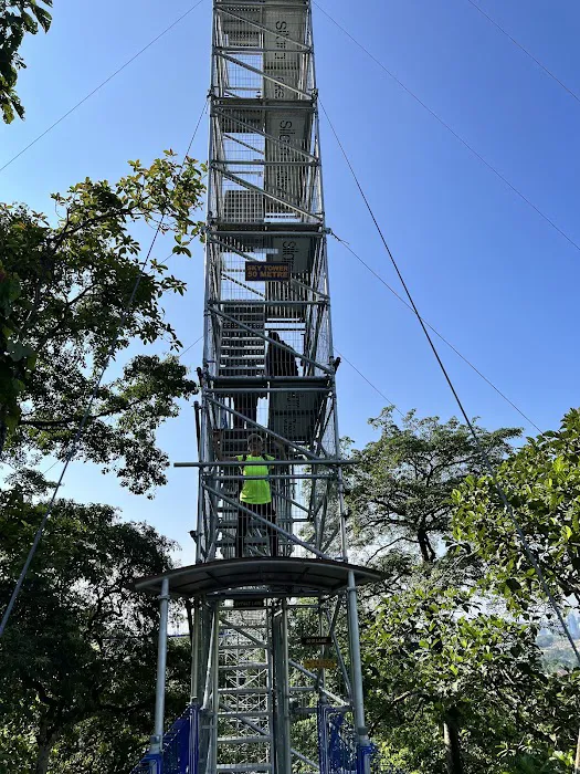 Forest Skywalk Kepong Picture 4