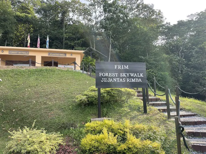 Forest Skywalk Kepong Picture 3