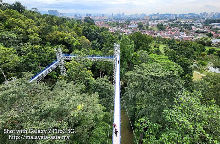 Forest Skywalk Kepong Picture 1