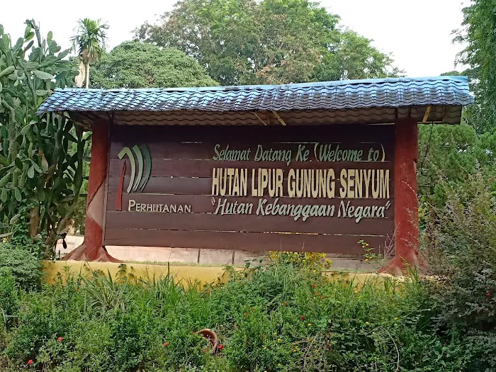Gunung Senyum Recreational Forest Picture 4