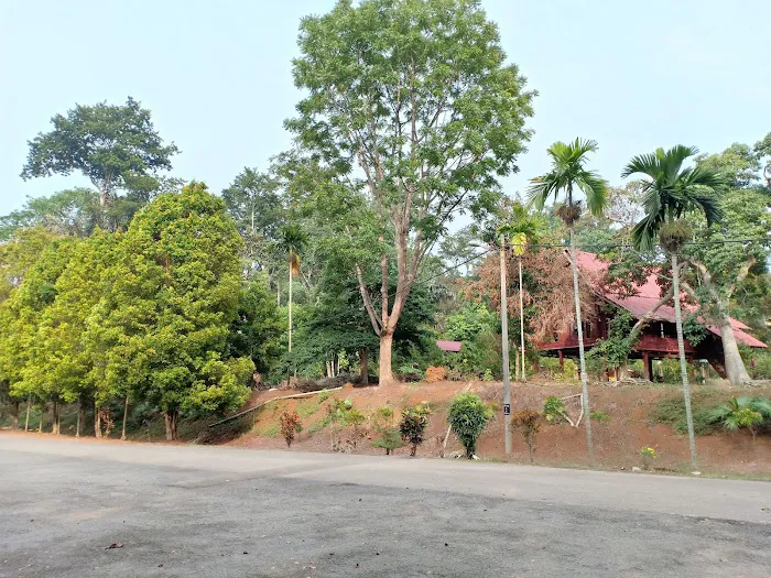 Gunung Senyum Recreational Forest Picture 3