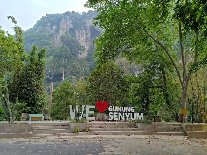 Gunung Senyum Recreational Forest Picture 5