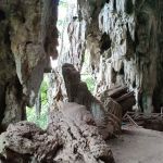 Gunung Senyum Recreational Forest