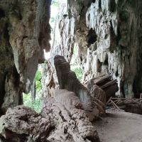 Gunung Senyum Recreational Forest ico