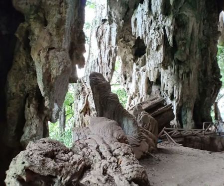 Gunung Senyum Recreational Forest