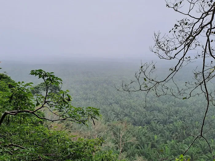 Gunung Senyum Recreational Forest Picture 7