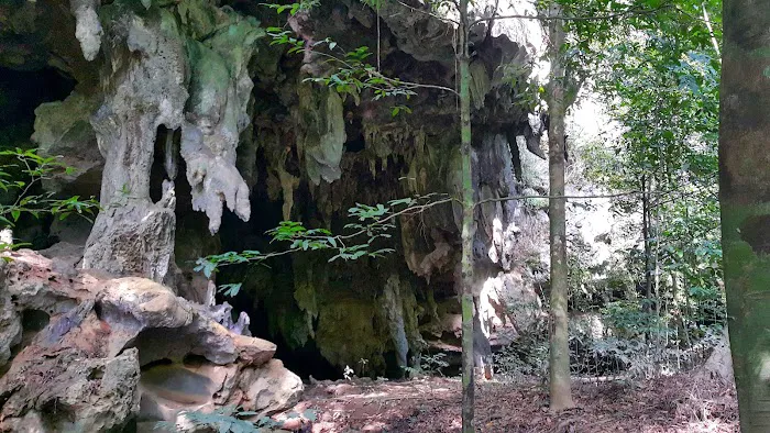 Gunung Senyum Recreational Forest Picture 10