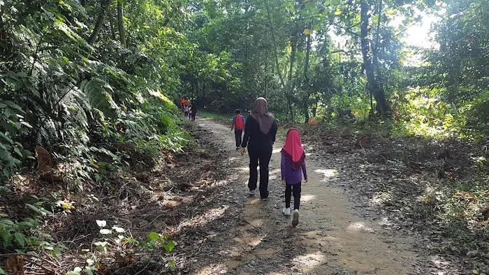Hiking Trail Picture 10