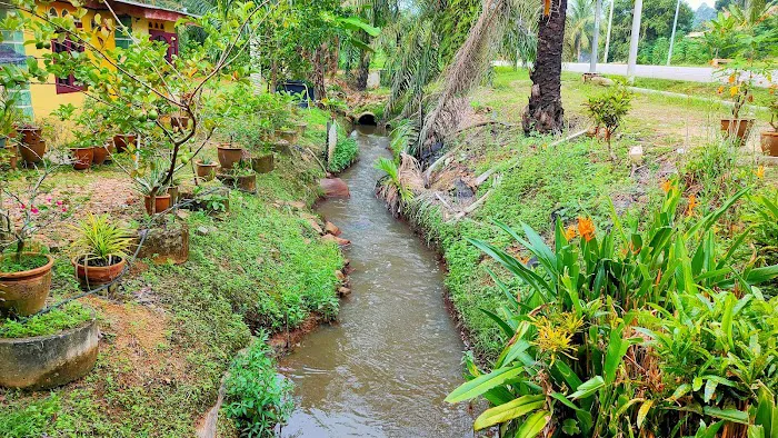 Kolam Memancing Lembah Juara Picture 5