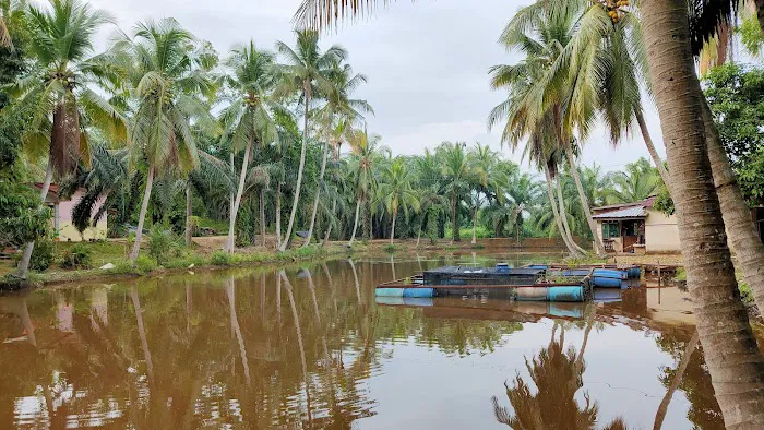 Kolam Memancing Lembah Juara Picture 2