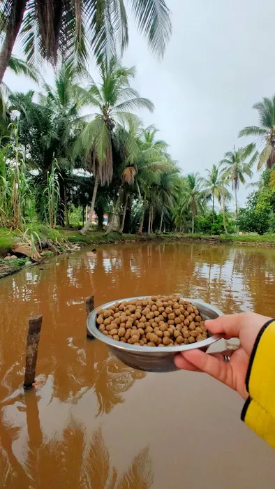 Kolam Memancing Lembah Juara Picture 1