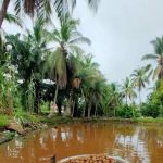 Kolam Memancing Lembah Juara