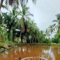 Kolam Memancing Lembah Juara ico