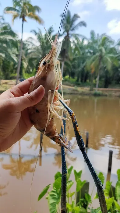 Kolam Memancing Lembah Juara Picture 7