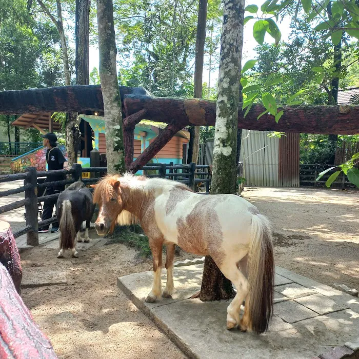 Zoo Negara Drop Off (Side) Picture 9