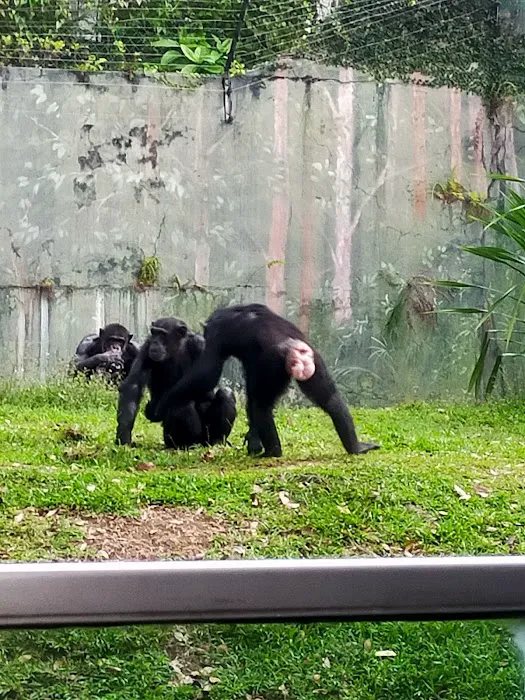Zoo Negara Drop Off (Side) Picture 1