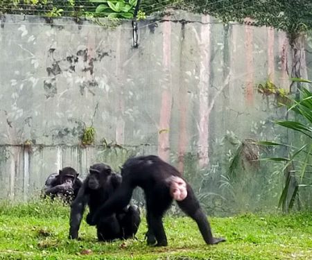 Zoo Negara Drop Off (Side)