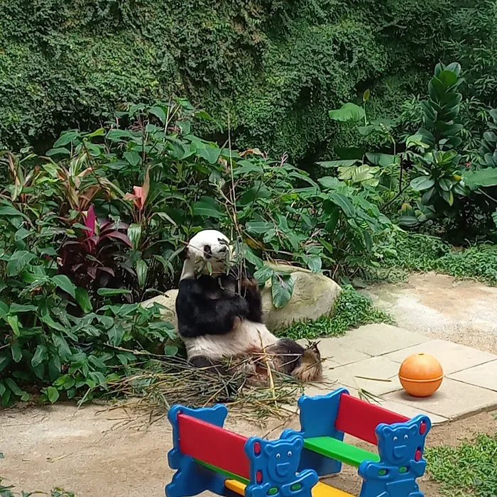 Zoo Negara Drop Off (Side) Picture 3