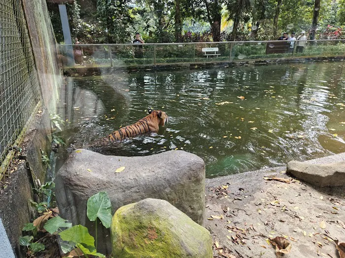 Zoo Negara Drop Off (Side) Picture 5
