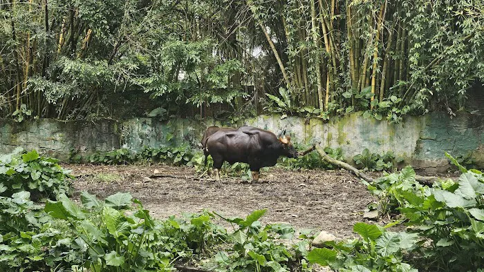 Zoo Negara Drop Off (Side) Picture 8