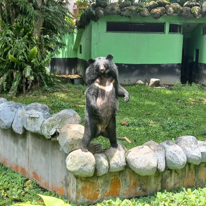 Zoo Negara Drop Off (Side) Picture 6