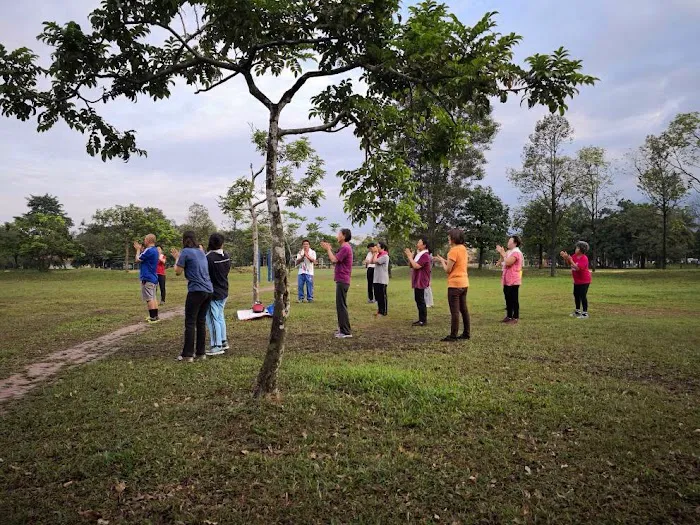 Energy Bagua Picture 1
